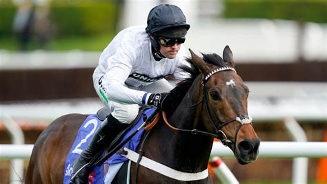 champion hurdle tips|champion hurdle 2023 odds.